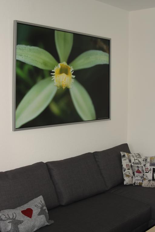 Alpendomizil Pia Apartment Muhlbach Am Hochkonig Phòng bức ảnh